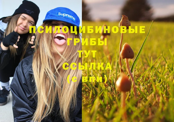 метамфетамин Каменногорск