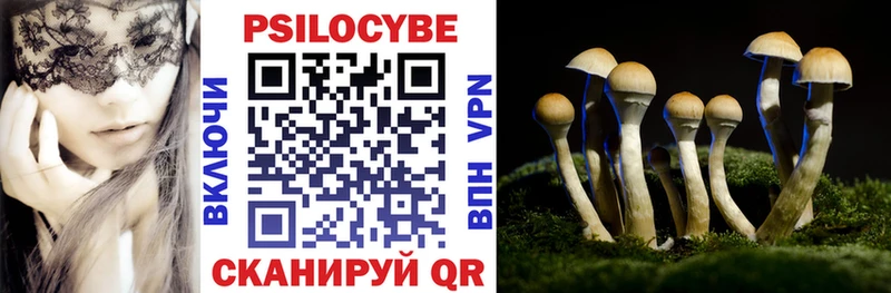 Галлюциногенные грибы ЛСД  Купить  Биробиджан 